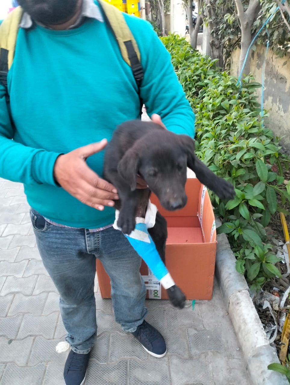 Kalu – A Story of Pain and Kindness