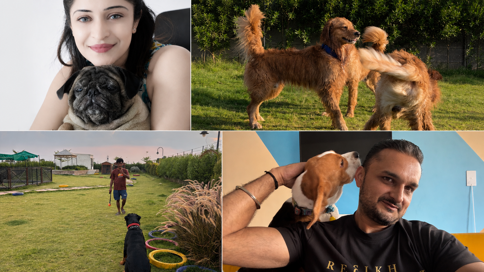 Why The Dogfather- A Pet Hostel ?